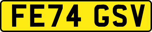 FE74GSV