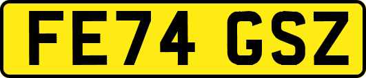 FE74GSZ