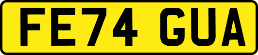 FE74GUA