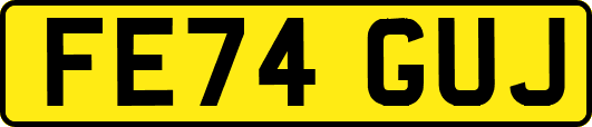 FE74GUJ