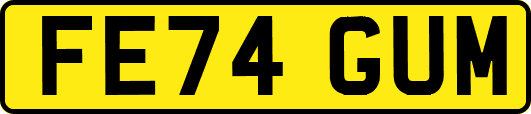 FE74GUM