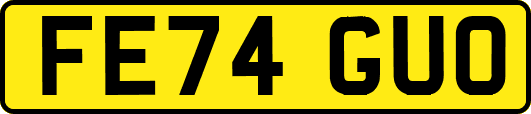 FE74GUO