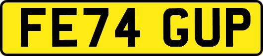 FE74GUP