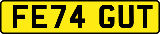 FE74GUT