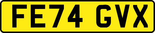 FE74GVX