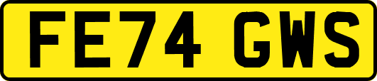 FE74GWS