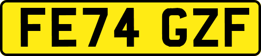 FE74GZF