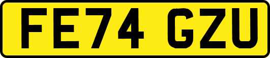 FE74GZU