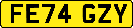 FE74GZY
