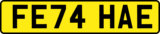 FE74HAE