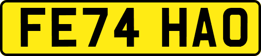 FE74HAO