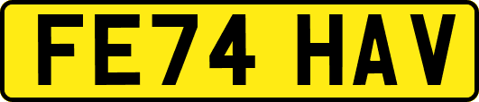 FE74HAV