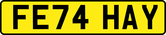 FE74HAY
