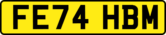 FE74HBM