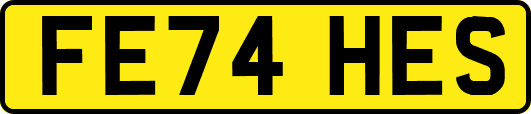 FE74HES