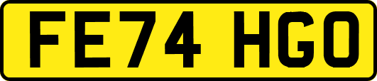 FE74HGO