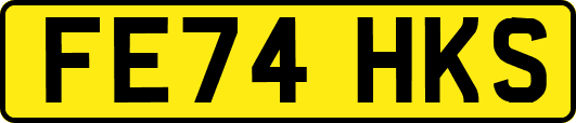 FE74HKS