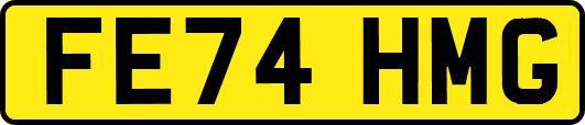 FE74HMG