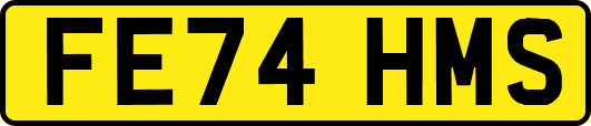 FE74HMS