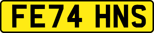 FE74HNS