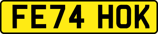 FE74HOK