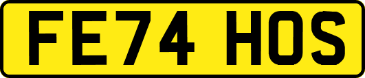 FE74HOS