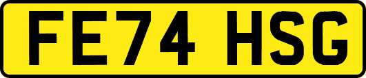 FE74HSG