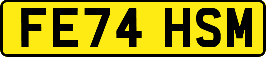 FE74HSM