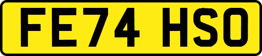 FE74HSO