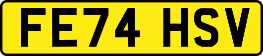 FE74HSV