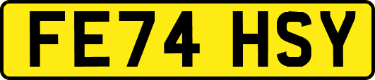 FE74HSY