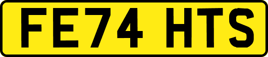 FE74HTS