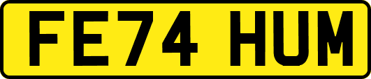 FE74HUM