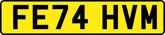 FE74HVM