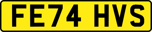 FE74HVS