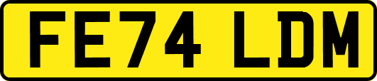 FE74LDM
