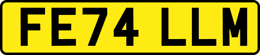 FE74LLM