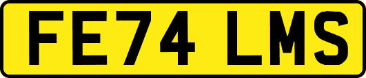 FE74LMS