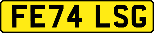FE74LSG