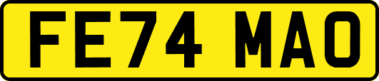 FE74MAO