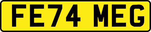 FE74MEG