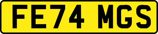 FE74MGS