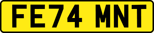 FE74MNT
