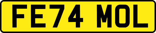 FE74MOL
