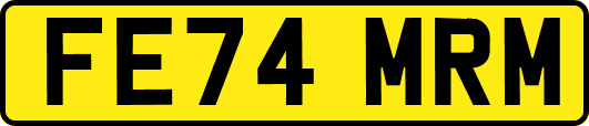 FE74MRM