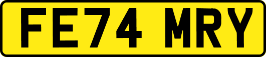 FE74MRY