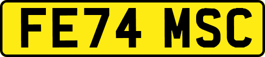 FE74MSC