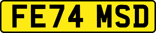 FE74MSD