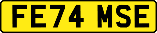 FE74MSE
