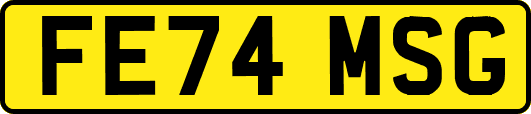 FE74MSG